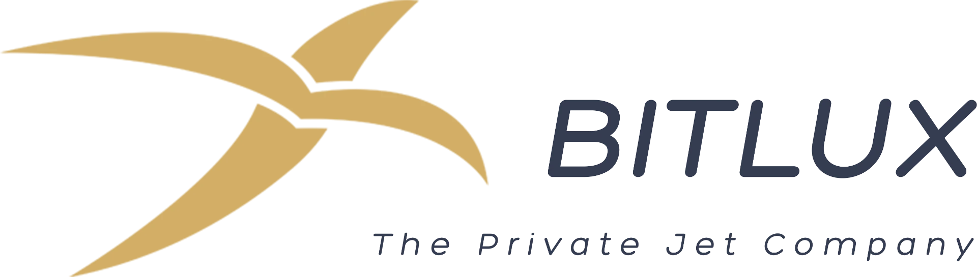 Bitlux logo